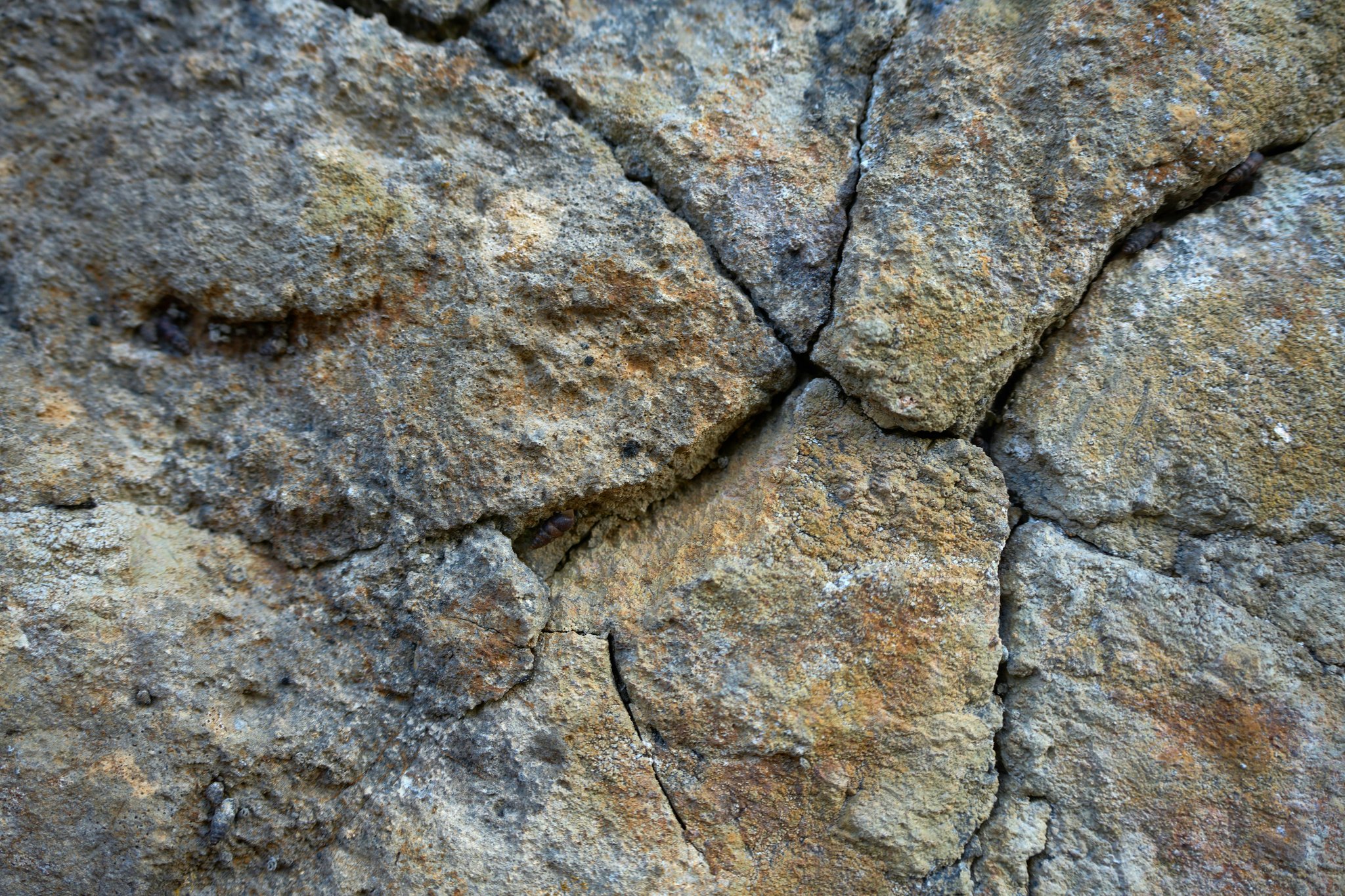 Climber placing crack pitons in granite face