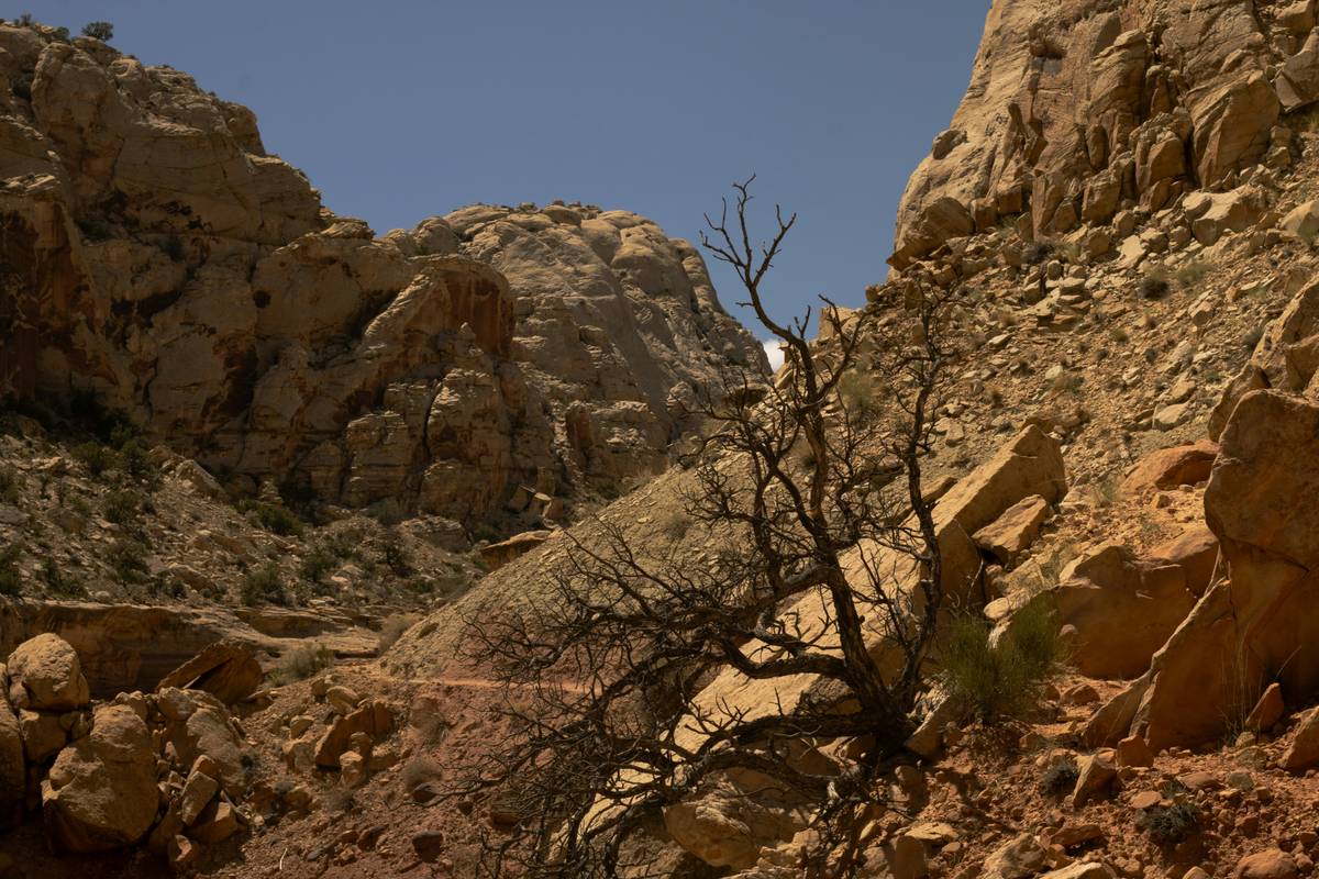 A climber ascending a narrow desert crack with sunlight casting shadows across the rock face.
