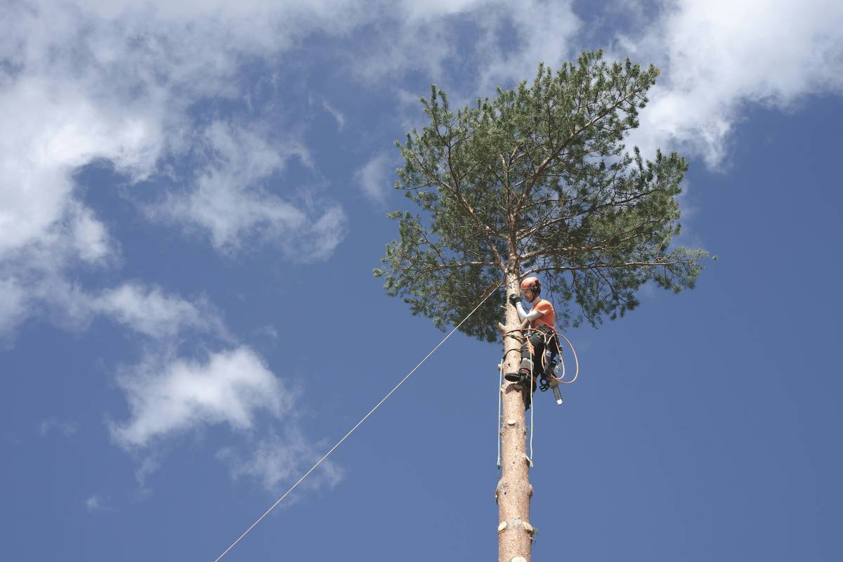 A climber falling mid-route after a failed anchor point