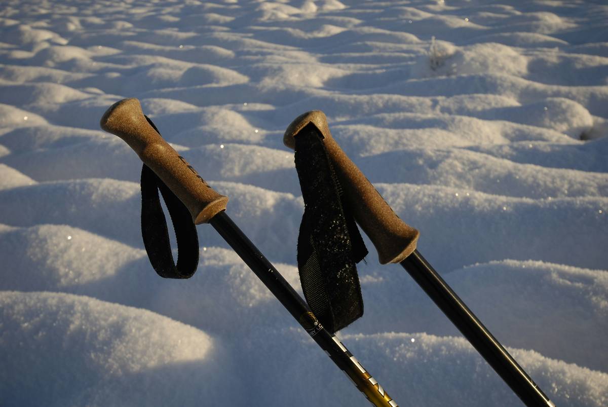 A close-up image of rugged steel ice climbing gear pitons ready for action.