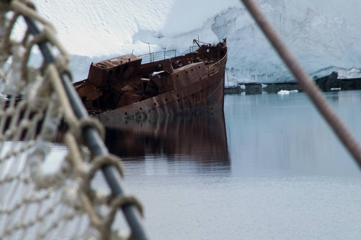 Ice Piton Anchor Reliability: The Unsung Hero of Your Climbing Adventures